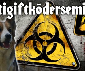 Antigiftködertraining - ab dem 12.03.2025 Mi. 17.00 Uhr
